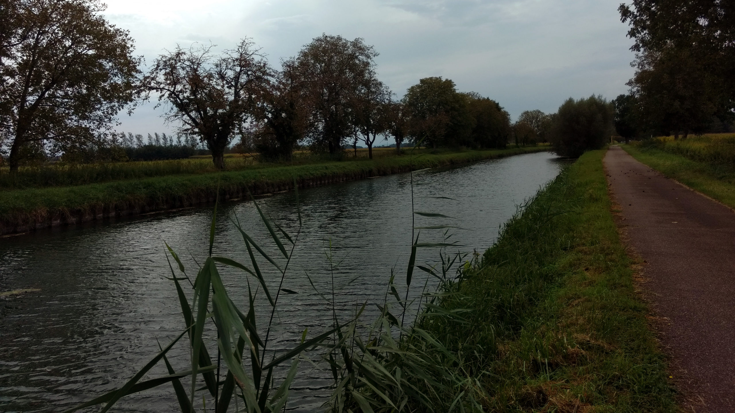 Canal in der Nähe von Bofzheim
